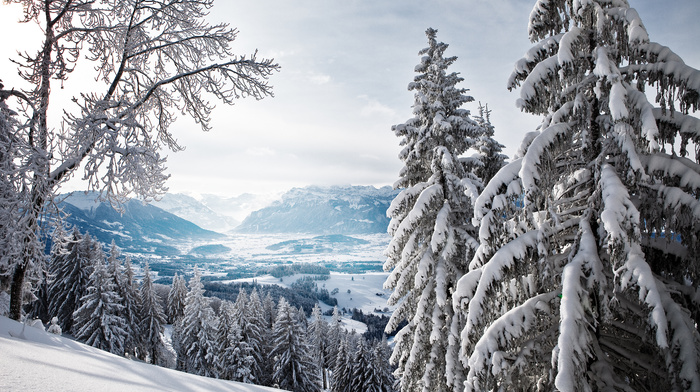 valley, forest, mountain, winter