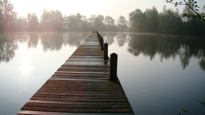 bridge, lake, stunner, mist