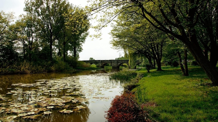 river, nature, bridge