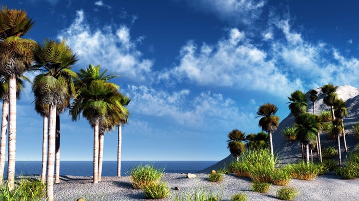 nature, sea, palm trees, sky