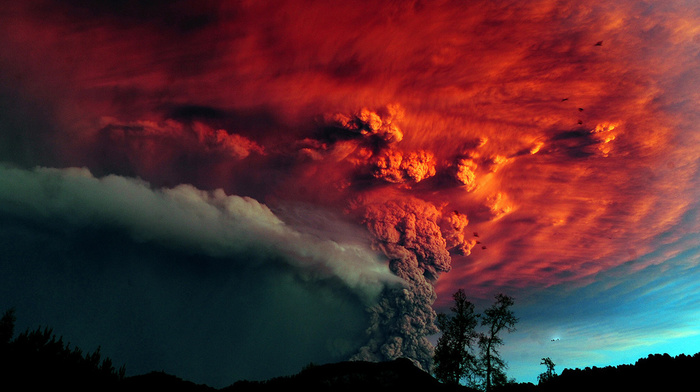 trees, nature, volcano