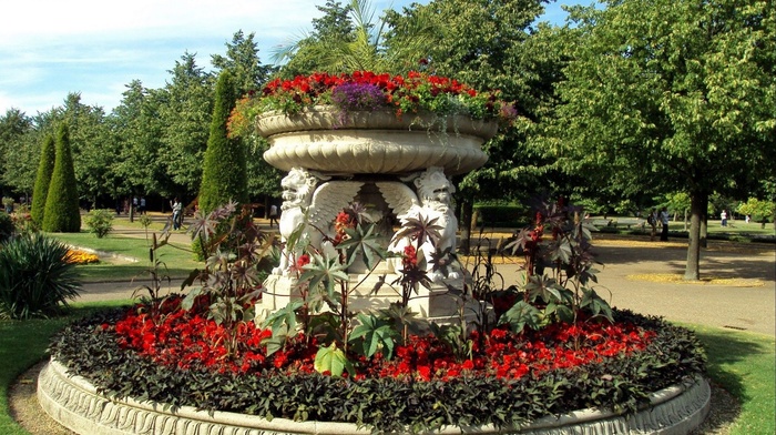 flowers, park, nature