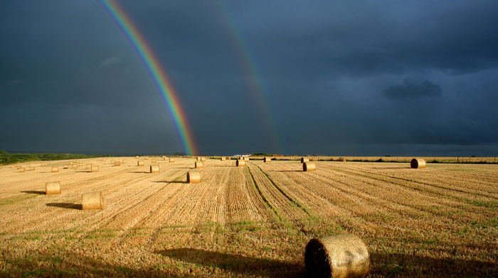 field, sky, nature, rainbow