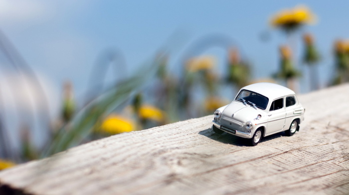 macro, model, car