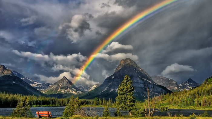 forest, mountain, sky, river, rainbow, nature