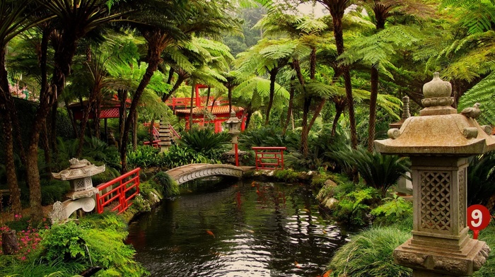 nature