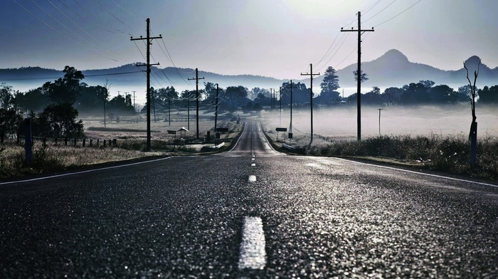 mist, road, nature