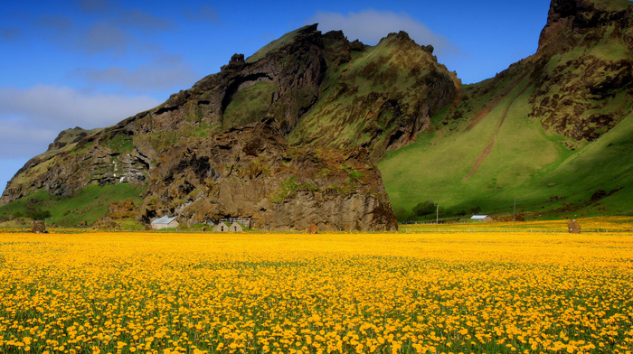 valley, flowers, sky, field, mountain, nature