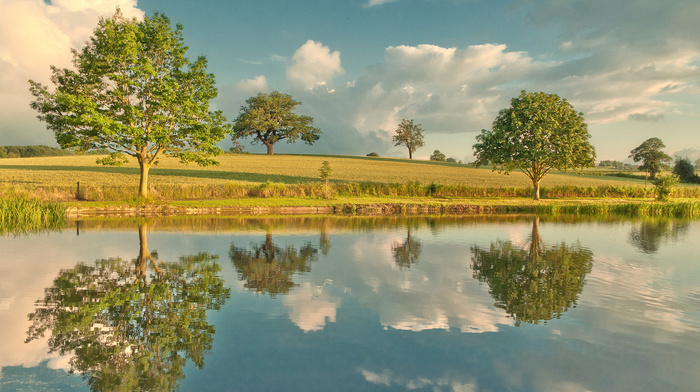 sky, nature, river, trees, reflection