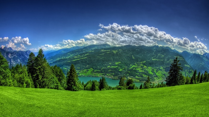 grass, hill, Walensee, green