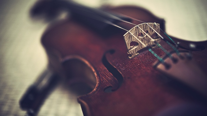 music, violin