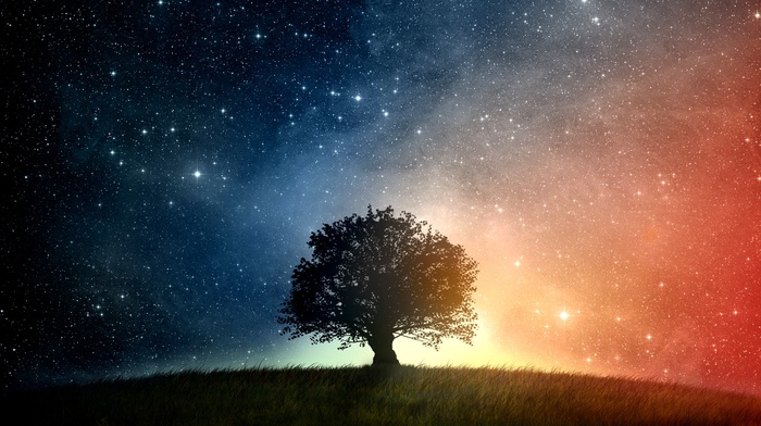 space, trees, grass, stars