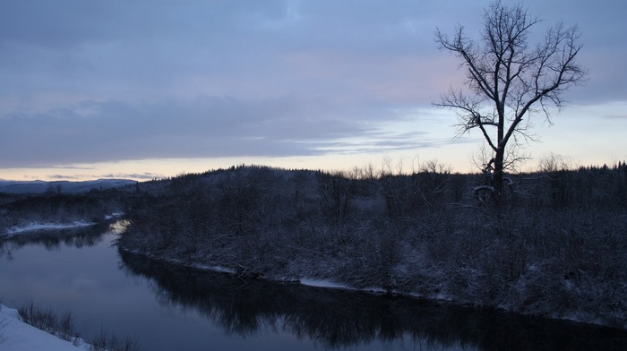 snow, nature