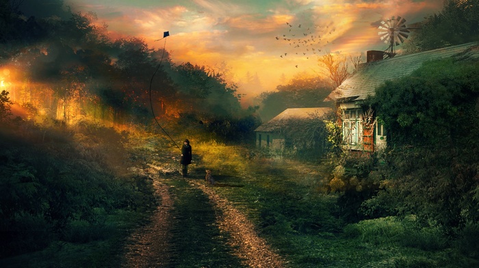 trees, cottage, dog, path, sunlight, artwork, birds, kites