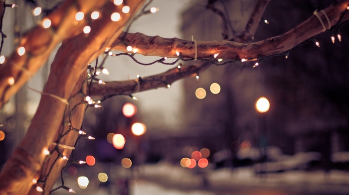 city, tree, winter, love