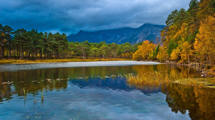 landscape, forest, lake, autumn