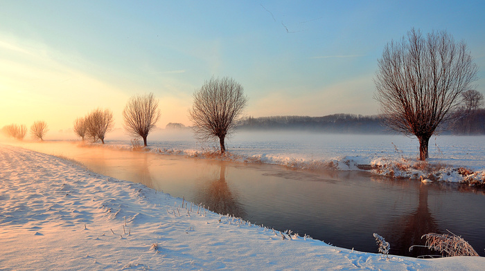 trees, winter, light, river