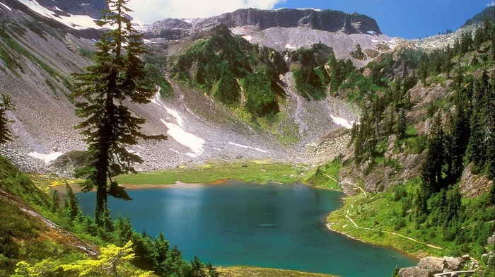 trees, lake, mountain, nature
