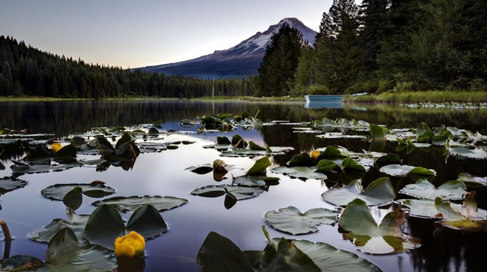 lake, nature