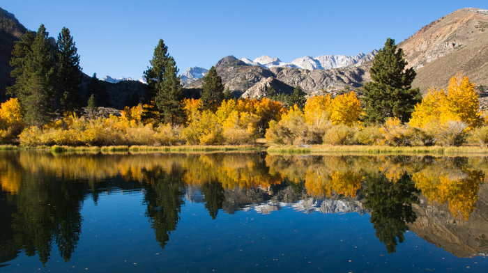 lake, nature, autumn, reflection