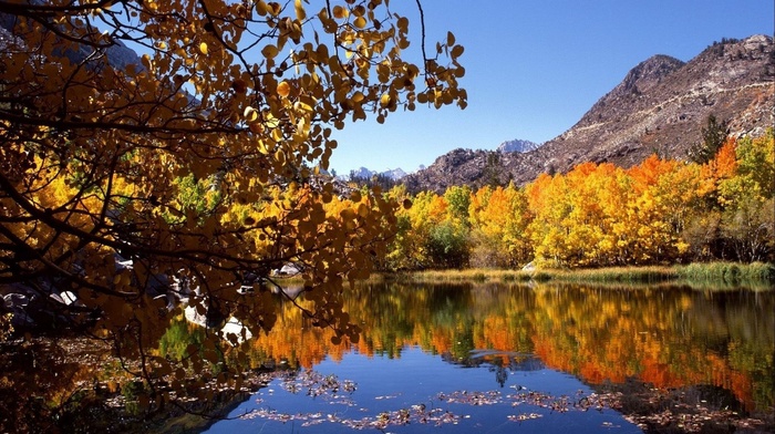 river, mountain, autumn, trees