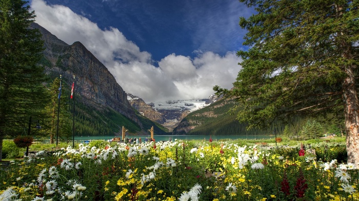 trees, mountain, lake, Canada, nature, flowers