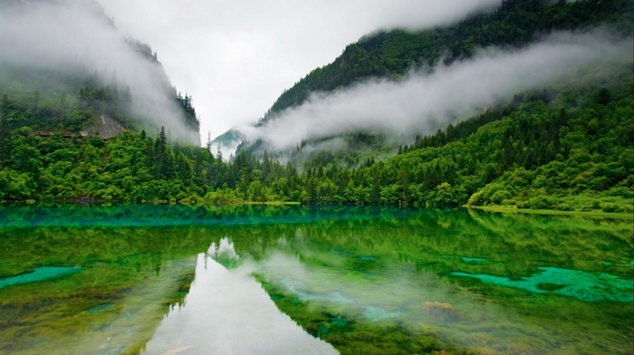 nature, greenery, mist, lake, mountain