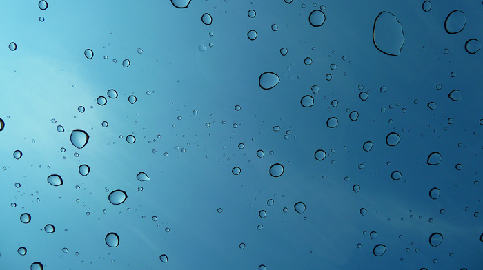 drops, water, macro