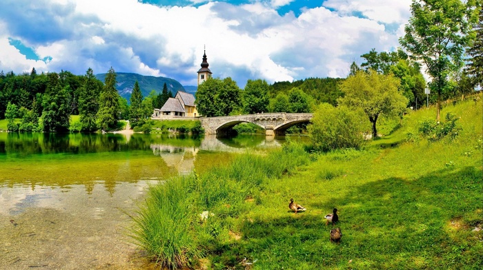 river, nature, landscape, bridge