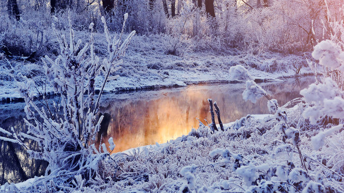 winter, snow, lake