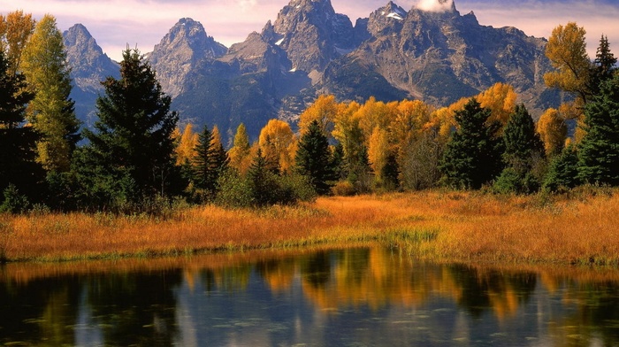 mountain, bushes, grass, lake, coast, autumn, trees, reflection, clouds