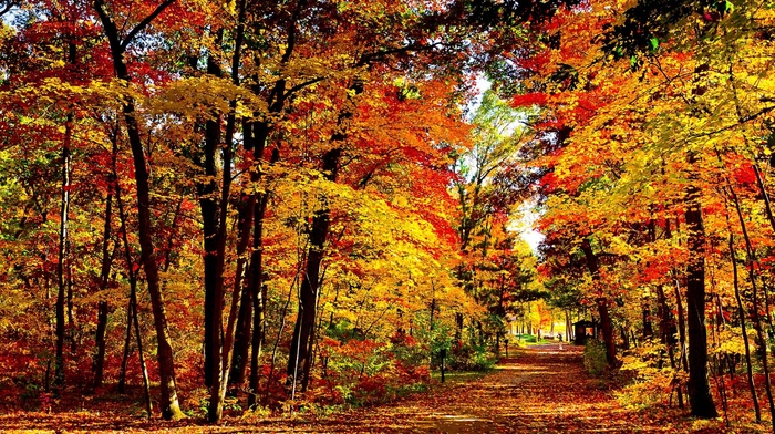 autumn, USA