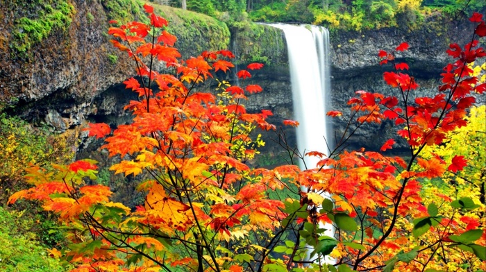 autumn, waterfall