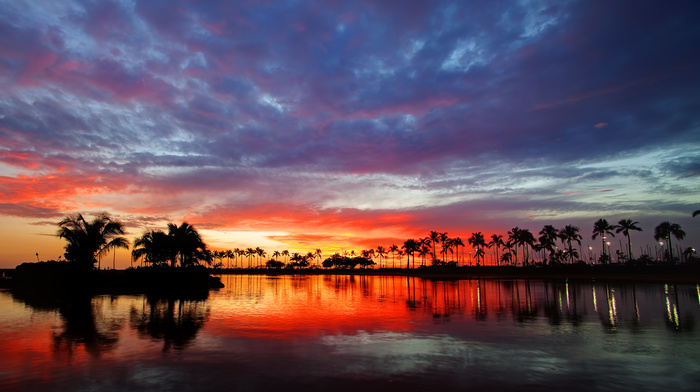 water, sky, nature, palm trees