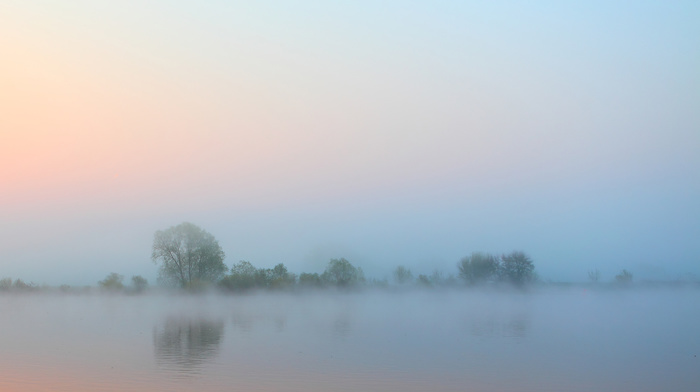 trees, mist, morning, sky, nature, water, river
