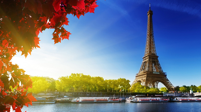 river, cities, Eiffel Tower, leaves, autumn, Paris