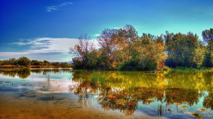 river, trees, autumn, nature