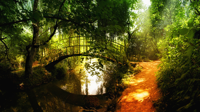 nature