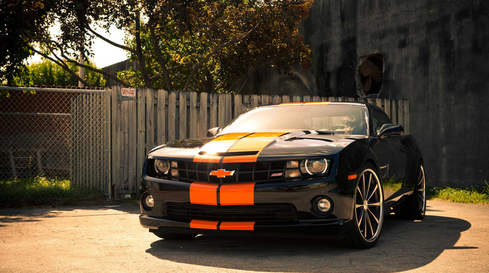cars