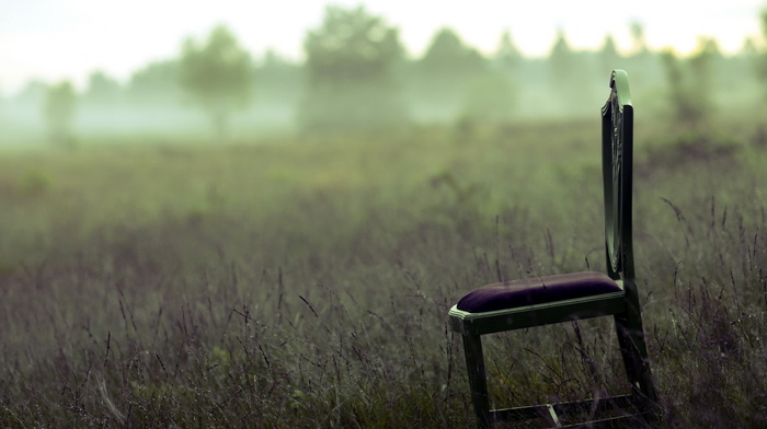 mist, chair, stunner, field