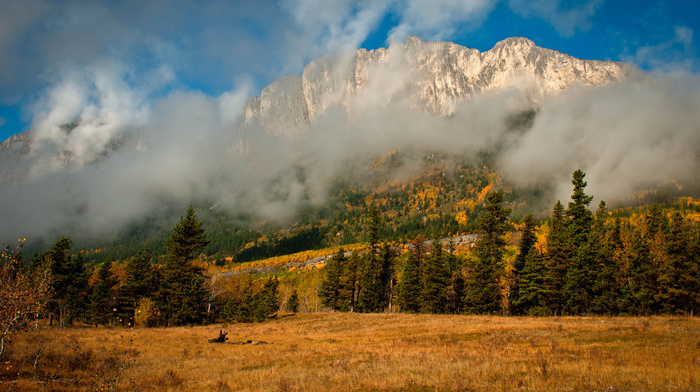 clouds, autumn, nature, mist, mountain