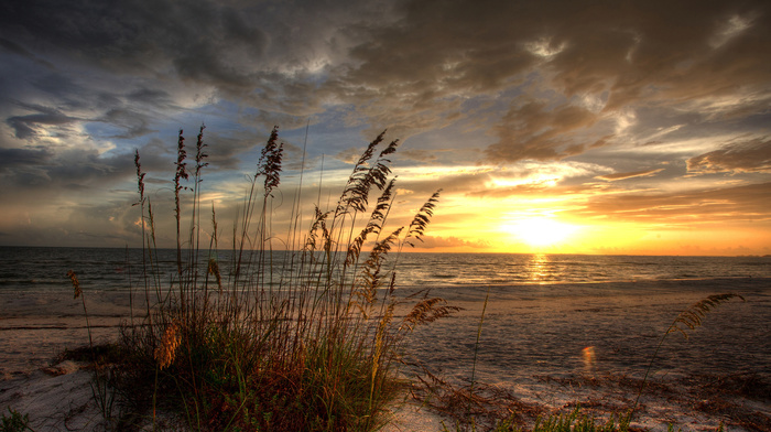 nature, grass, sunset, sea, sand