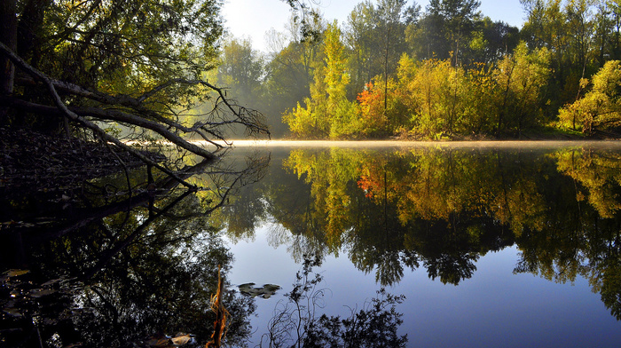 water, lake, trees, nature