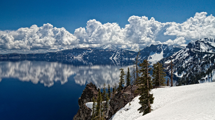 forest, lake, winter, mountain