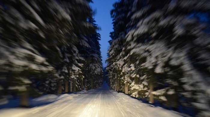 road, trees, macro, winter, snow