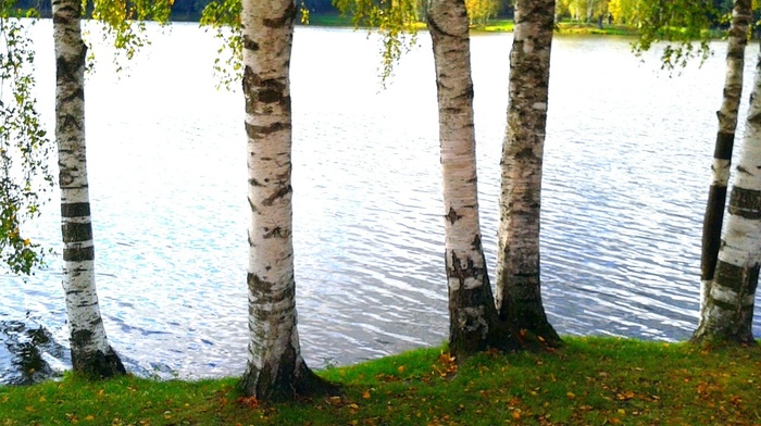 lake, autumn