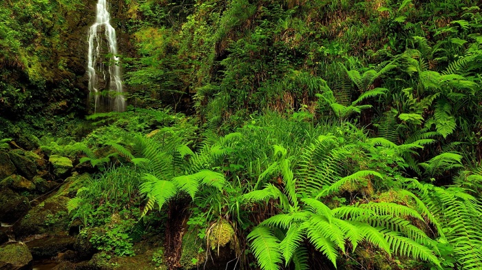nature