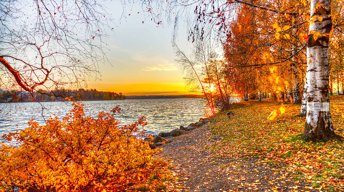 autumn, landscape, lake, nature, leaves