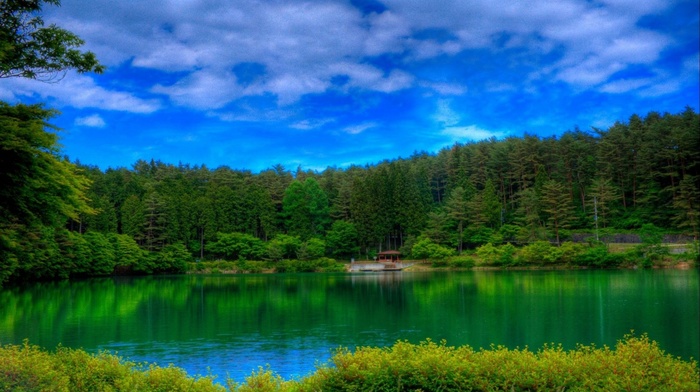 grass, nature, forest, lake, clouds, sky, landscape