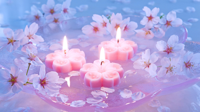flowers, candles
